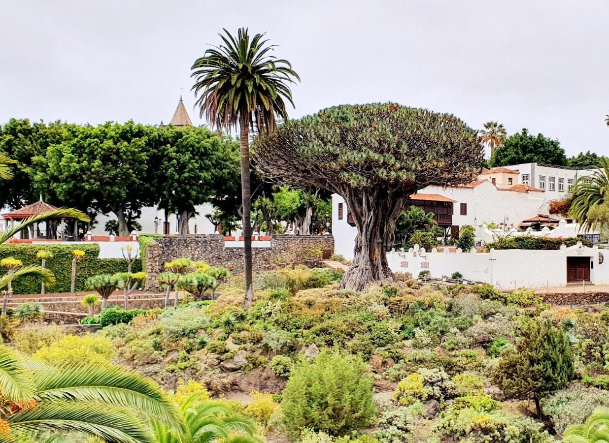 Cozy House Casa Vero Mai איקוד דה לוס וינוס מראה חיצוני תמונה